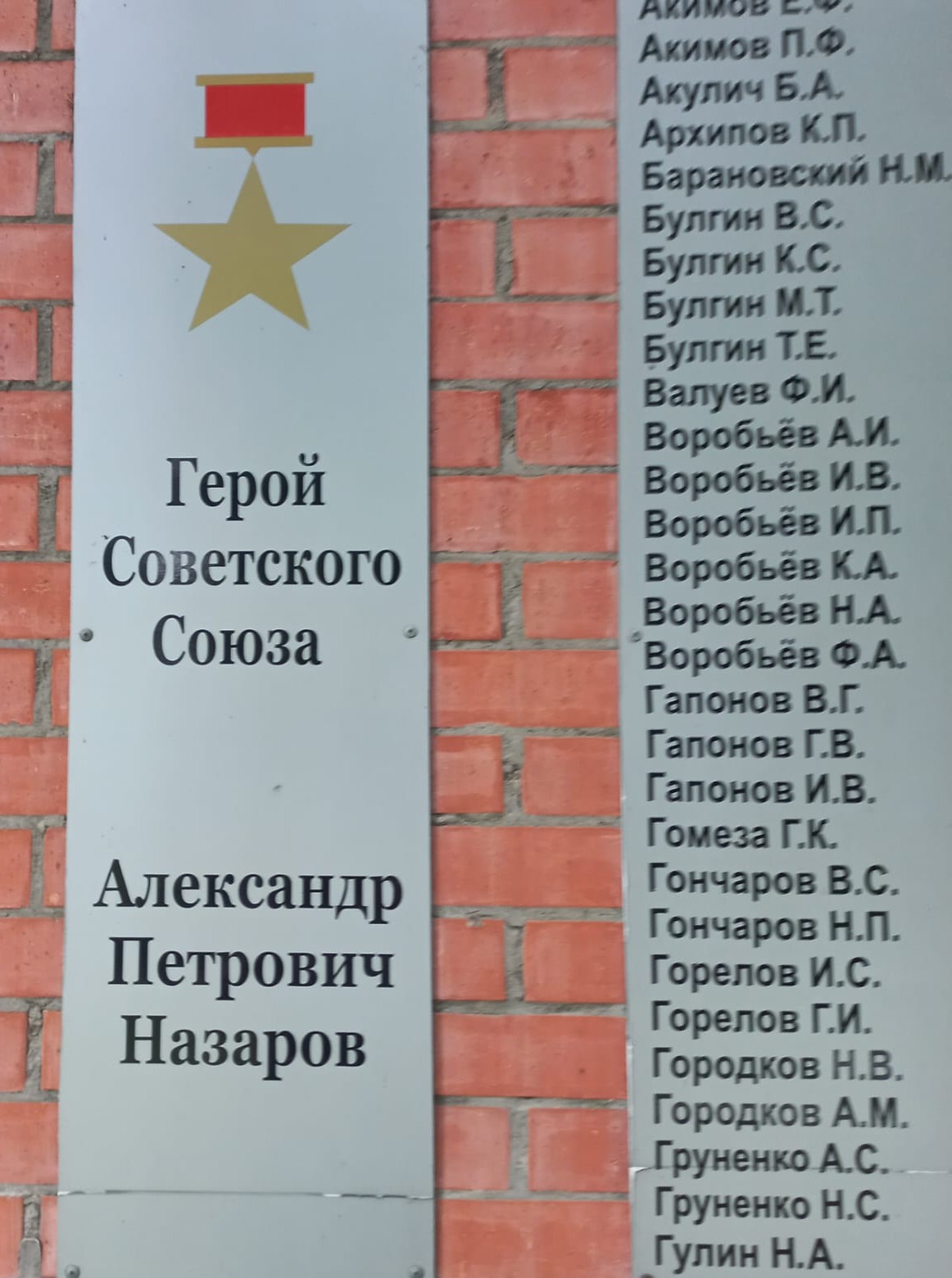 фото Макаровой Л.В., библиотекаря Ступишинской  б/ф, 09.07.2025