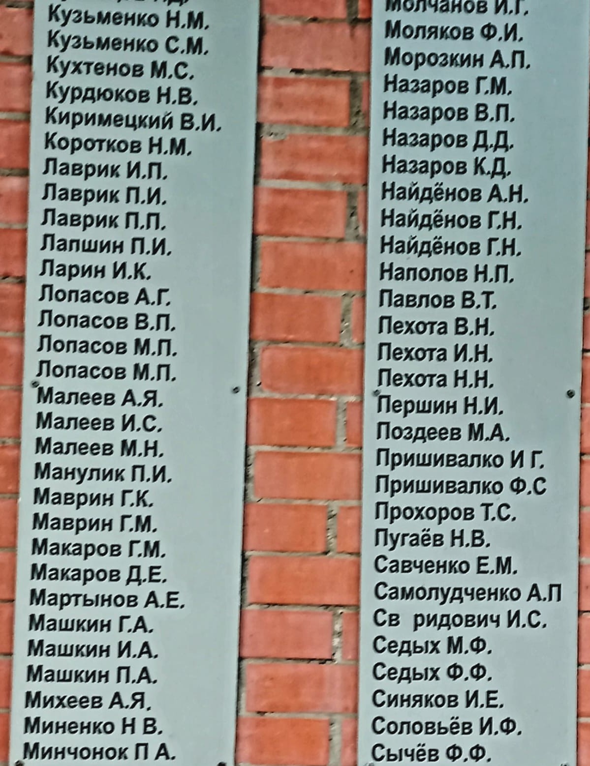 фото Макаровой Л.В., библиотекаря Ступишинской  б/ф, 09.07.2025