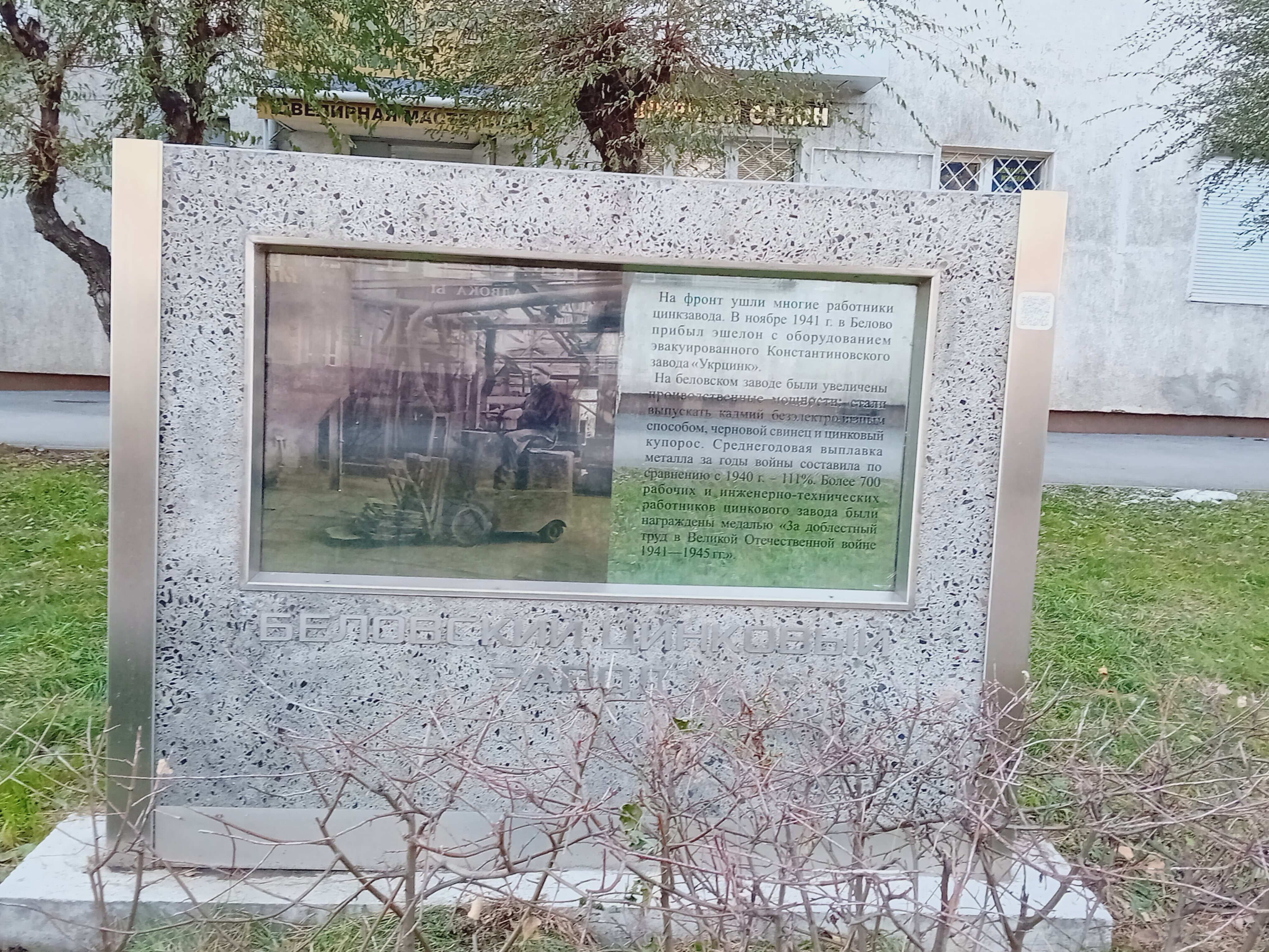 Автор фото  Землянухина А.В., главный библиограф ЦГБ, 2025г.