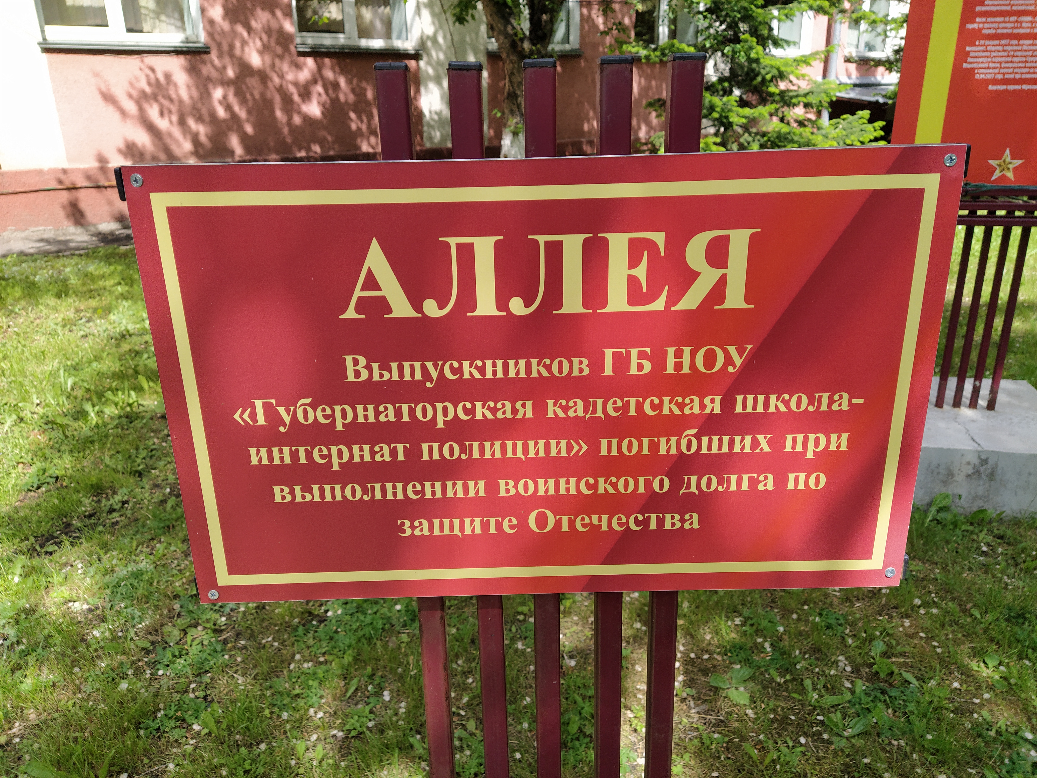 Фото Плотниковой А.А., библиографа ЦЭК МАУК «МИБС» г. Кемерово, от 31.05.2025