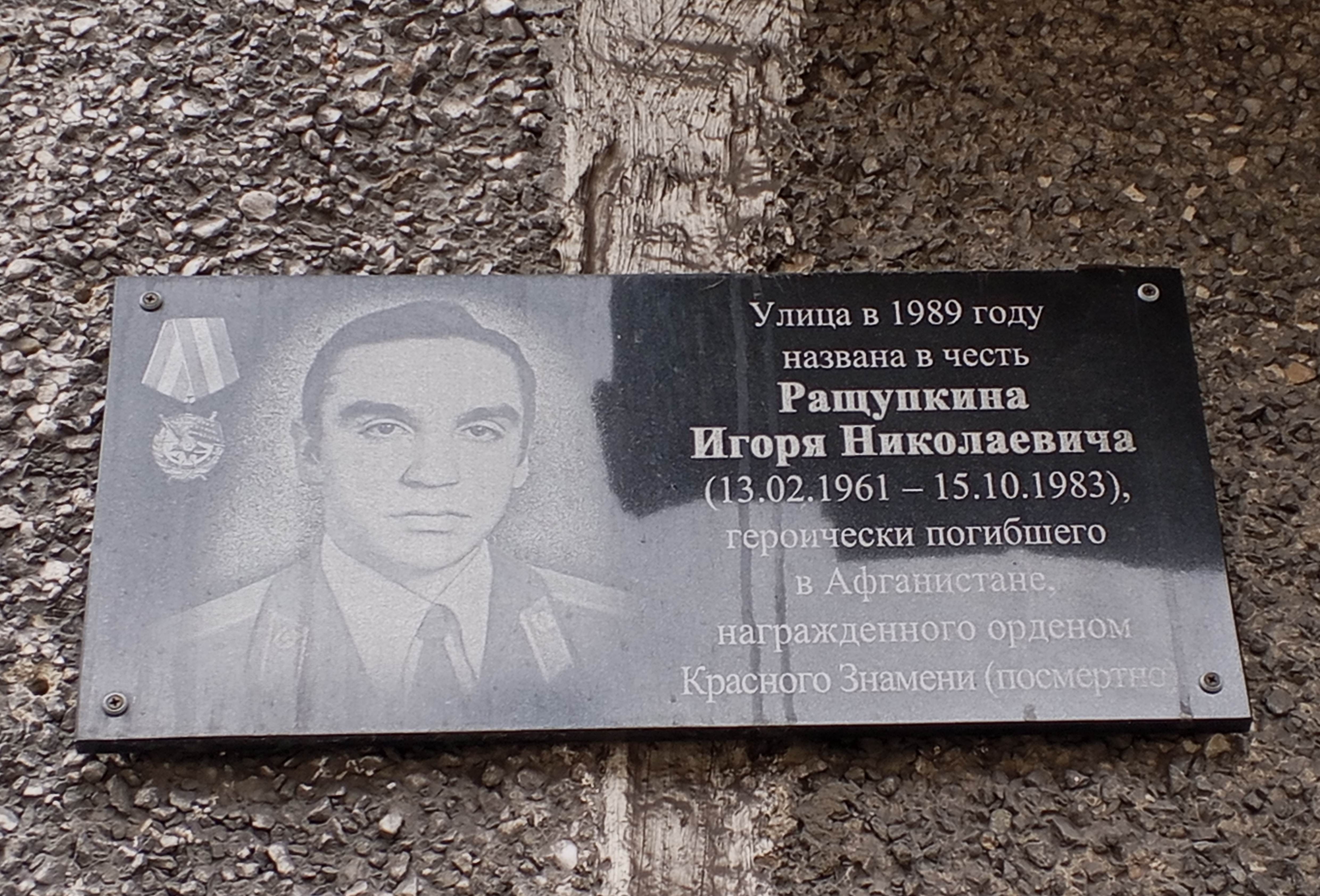 Автор фото: Бронникова О. А., 2026 г.