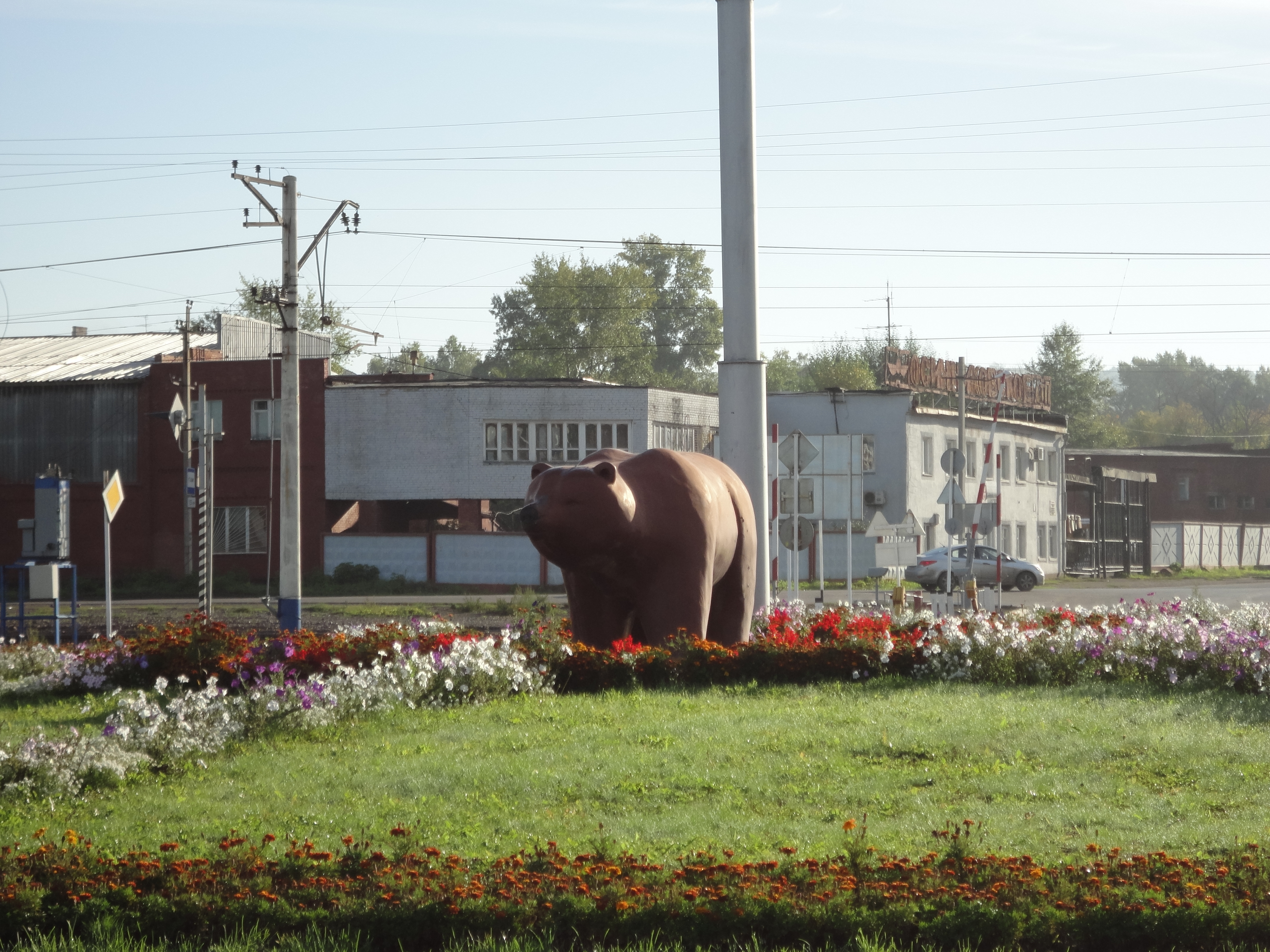 Фото библиографа Горюновой Т. И., 01.09.2018