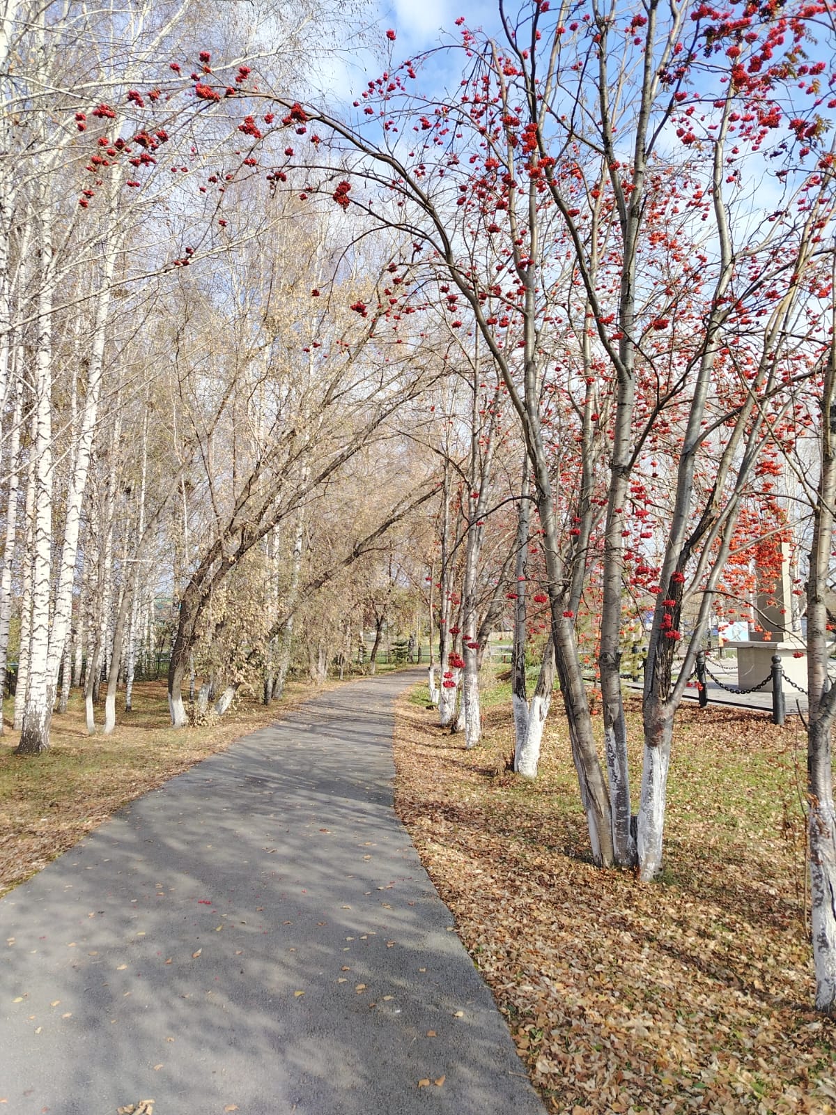 Фото И. Ерандаевой, 14.10.2025 г.