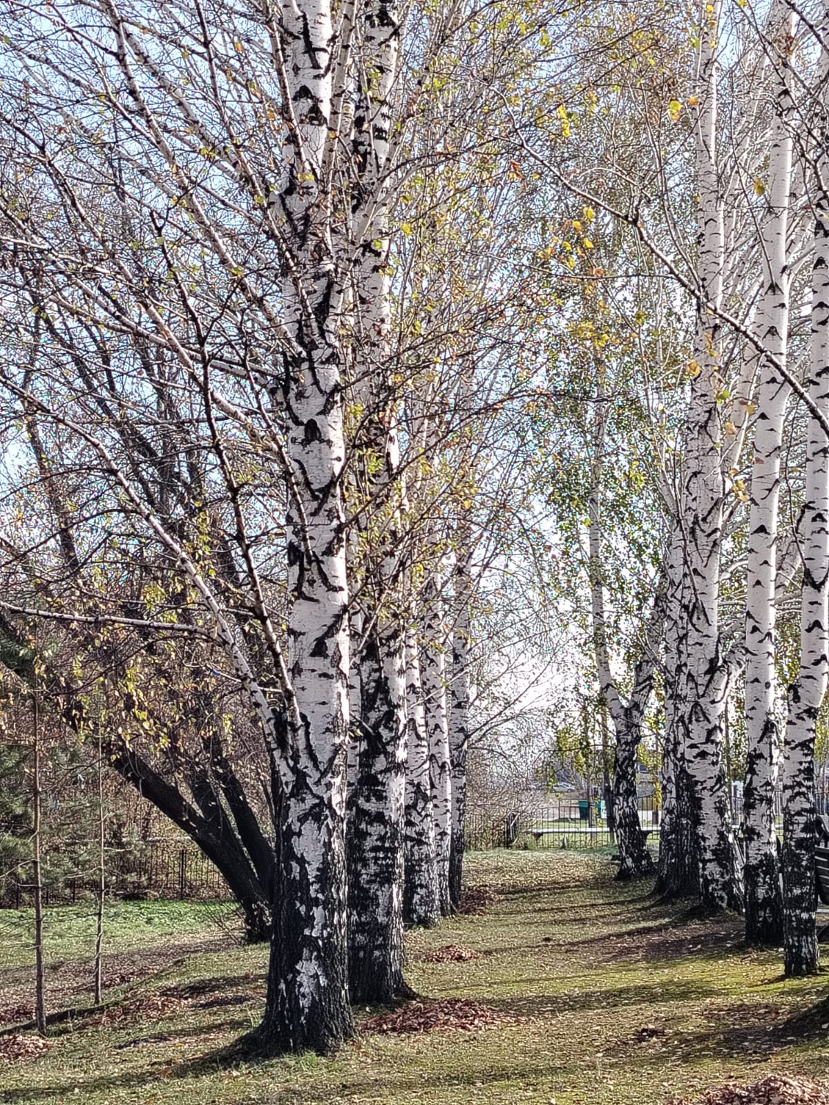 Фото И. Ерандаевой