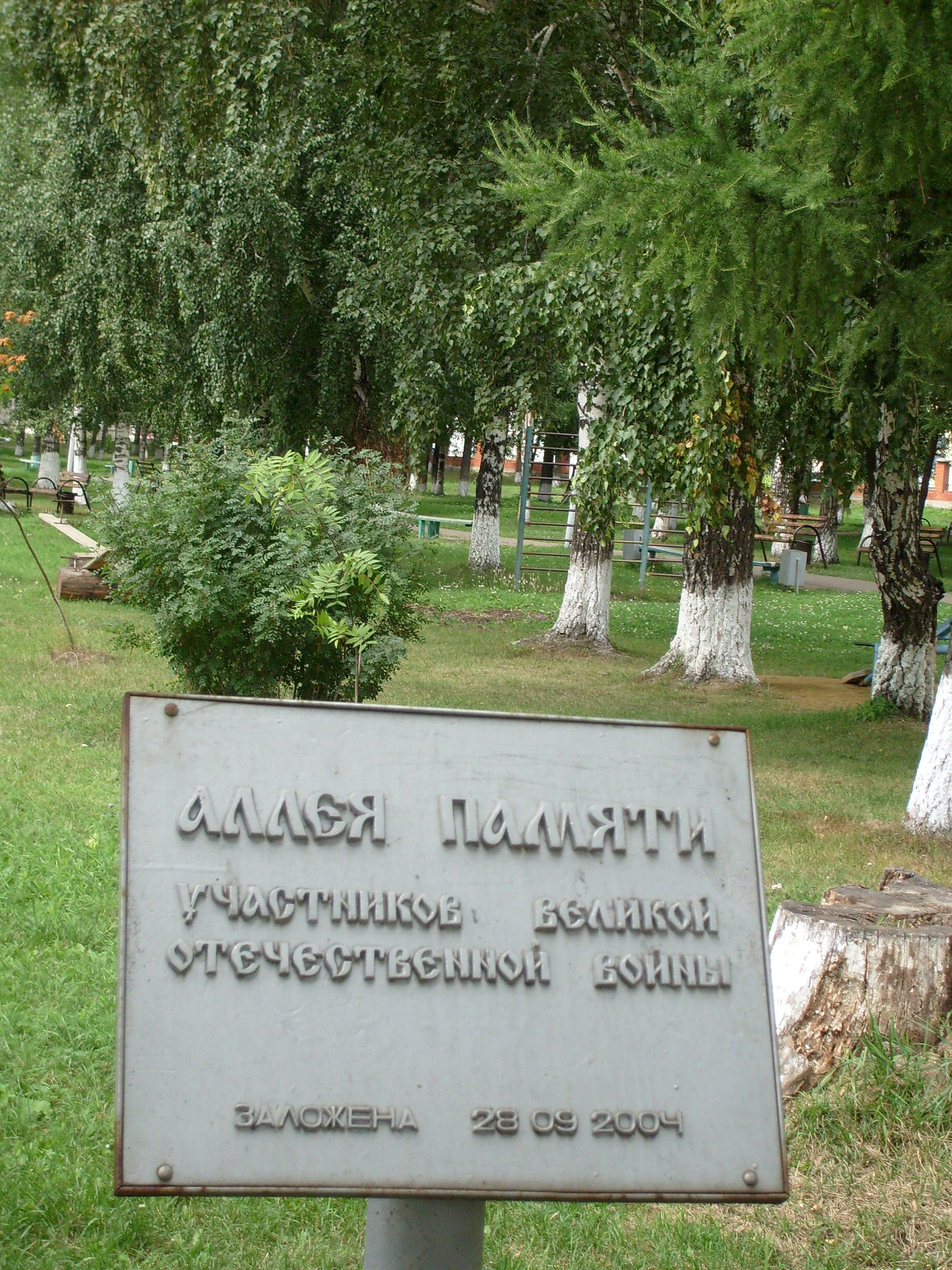 Фото Печерская В.В., 2009г.