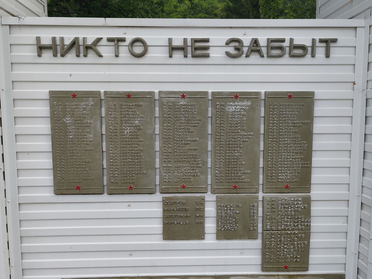 фото Торошелидзе Л.Г., 2025г.