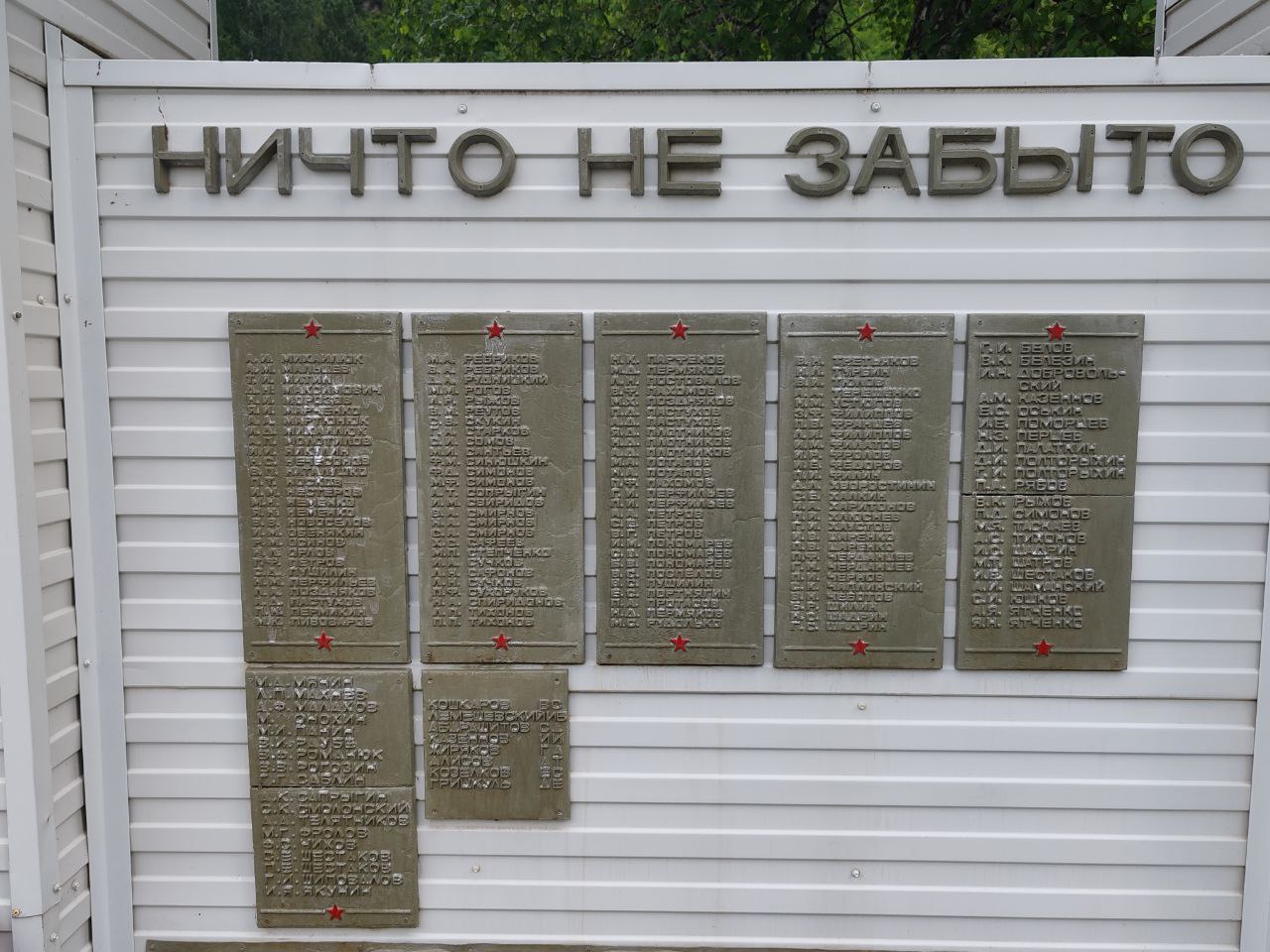 фото Торошелидзе Л.Г., 2025г.