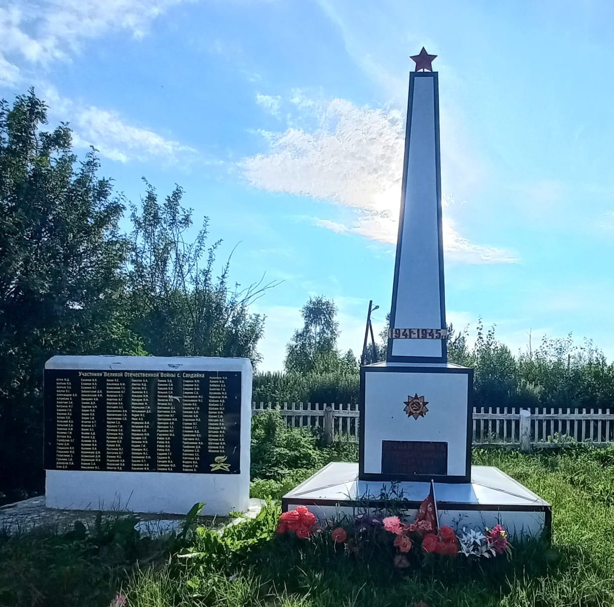 фото Макаровой Л.В., библиотекаря Ступишинской  б/ф, 09.07.2025