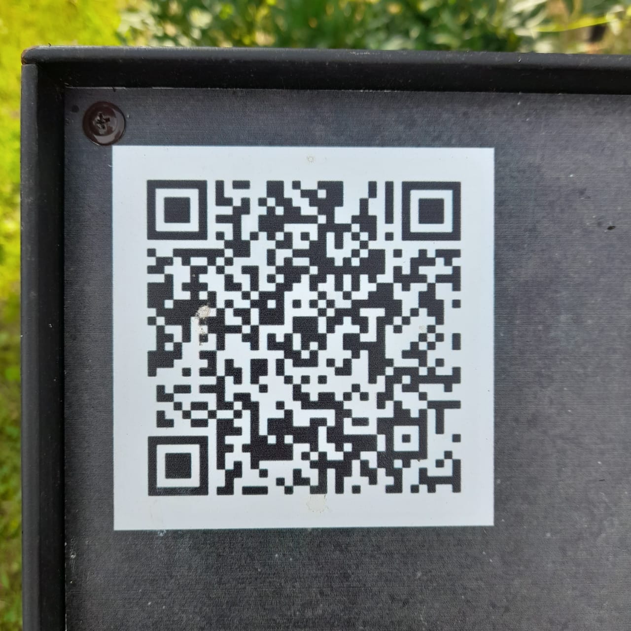 фото Вихман Л.В., библиотекарь Новопокровской б/ф, 30.06.2025