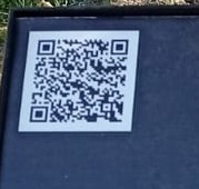 Фото О.А. Никифоровой, 05.05.2025