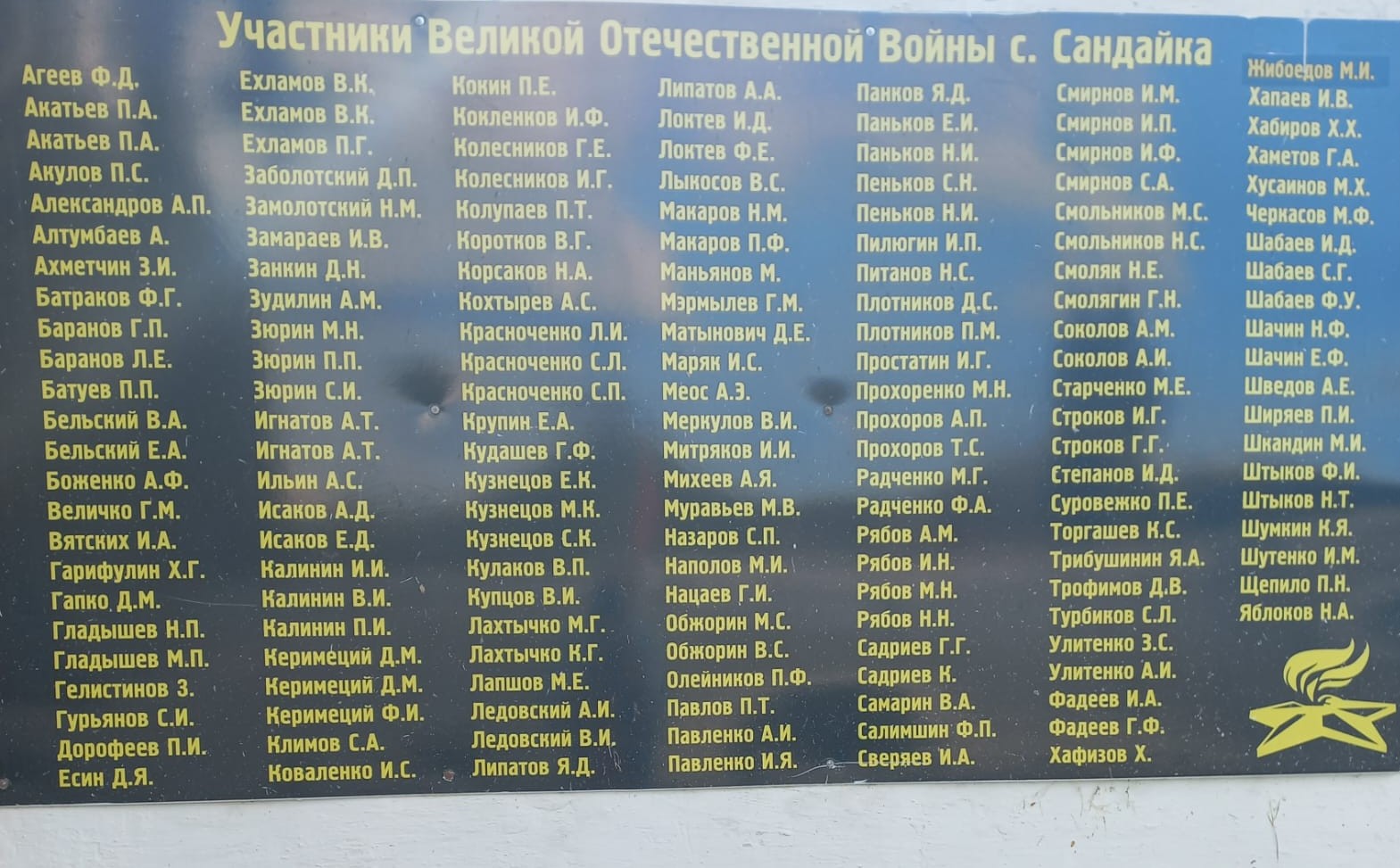 фото Макаровой Л.В., библиотекаря Ступишинской  б/ф, 09.07.2025