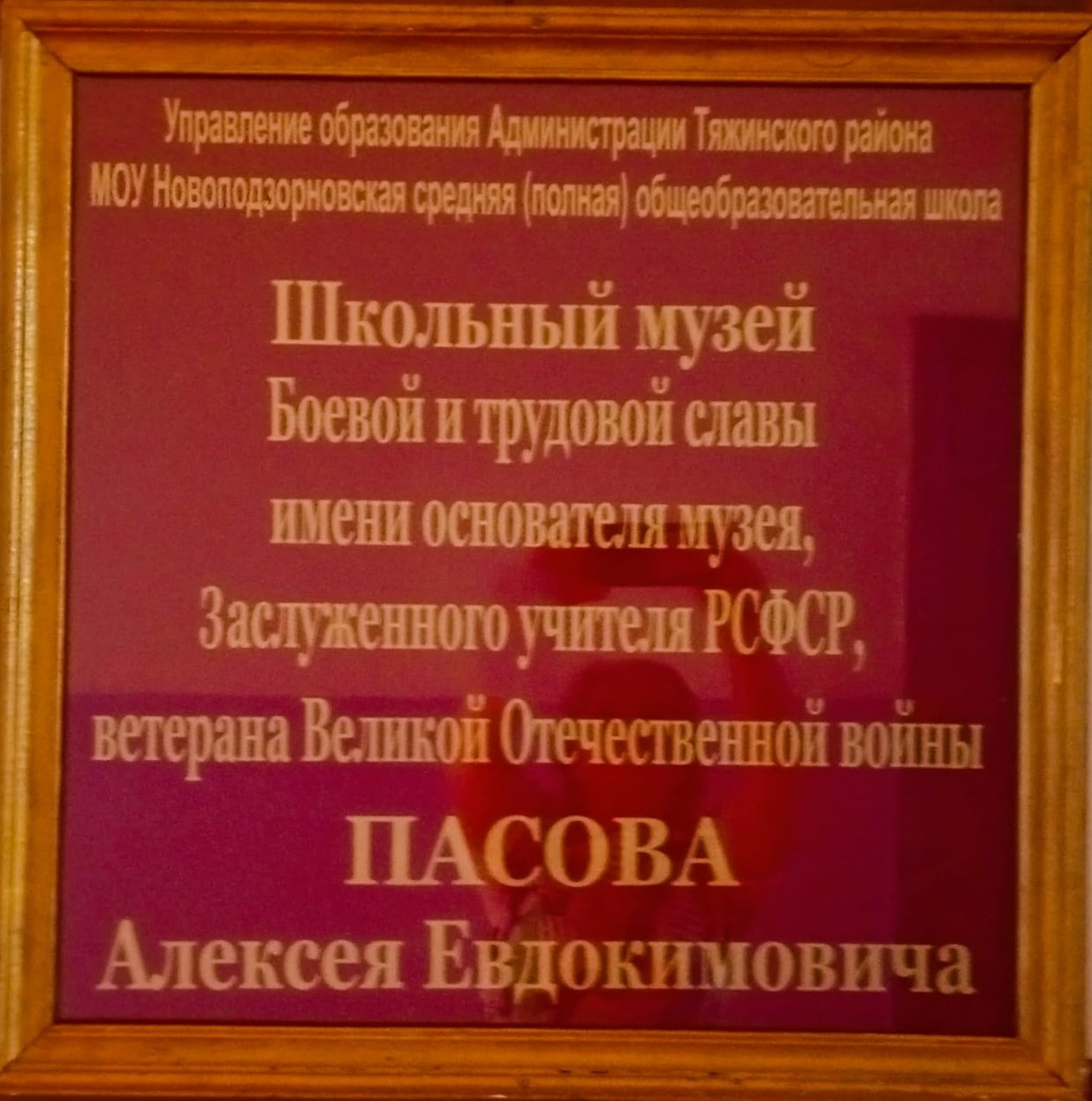 фото Никифоровой О.А., библиотекаря Новоподзорновской сельской б/ф, 25.06.2025