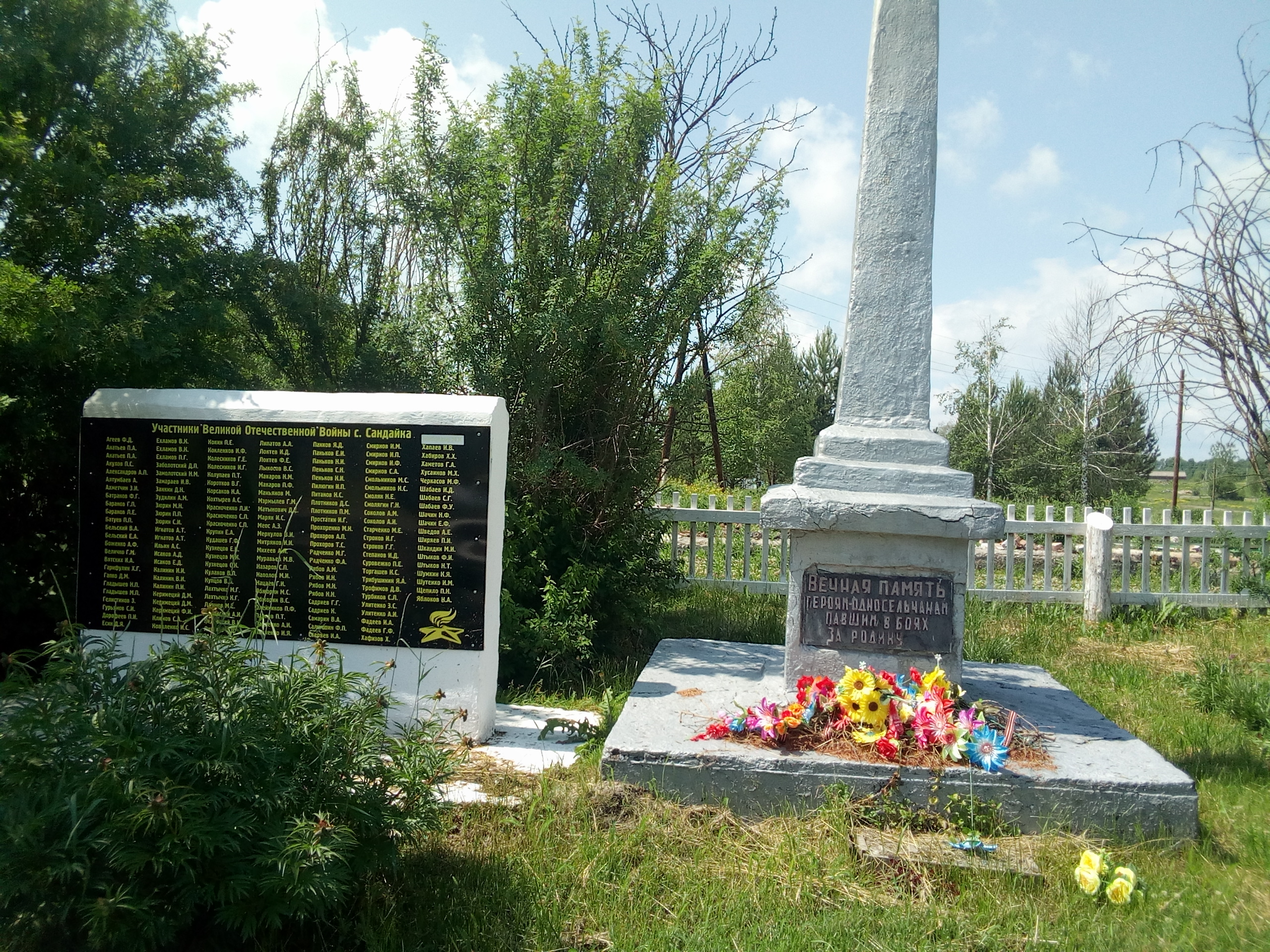 Фото библиотекаря Л.В. Булгиной, 02.07.2023.