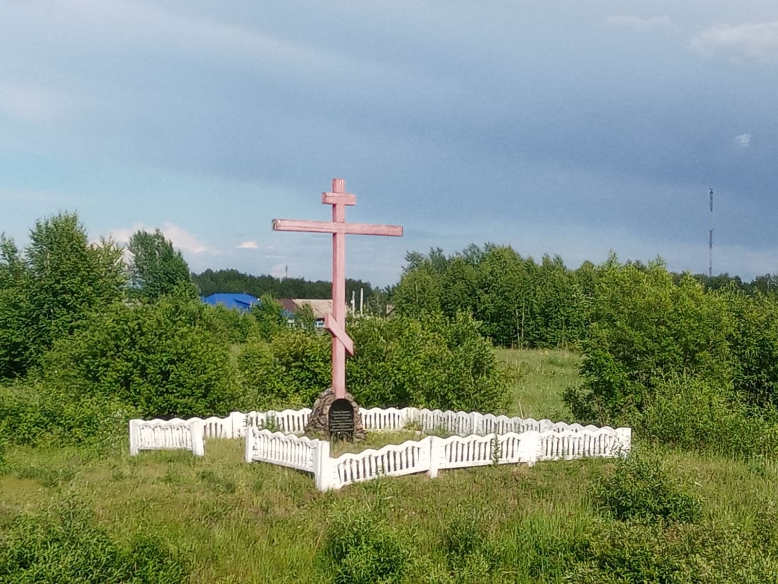 Фото зав.сельской библиотекой Е.А. Лукс, 21.07.2021