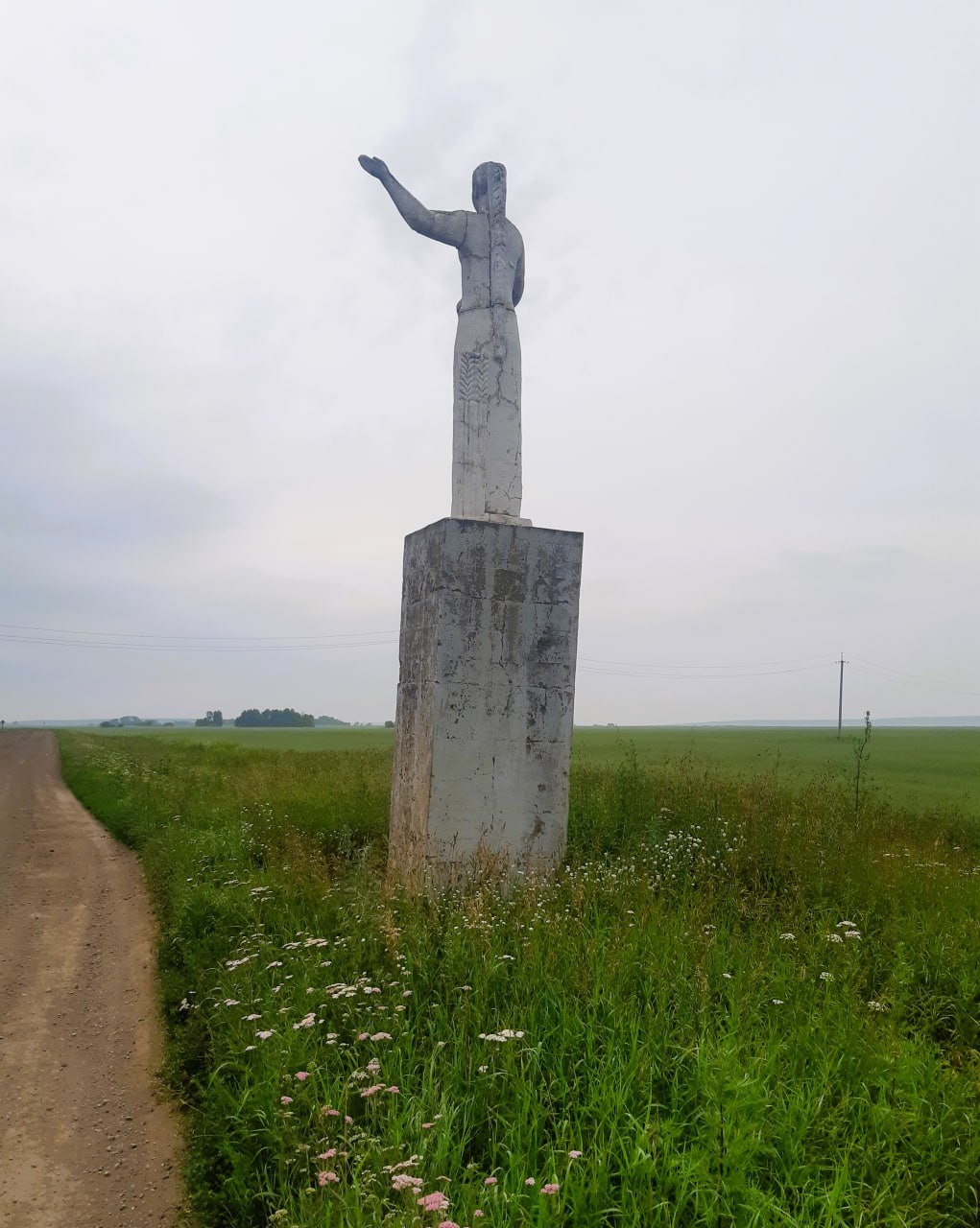 Фото зав.сельской библиотекой И.Н. Колошиной, 29.06.2023 (3)