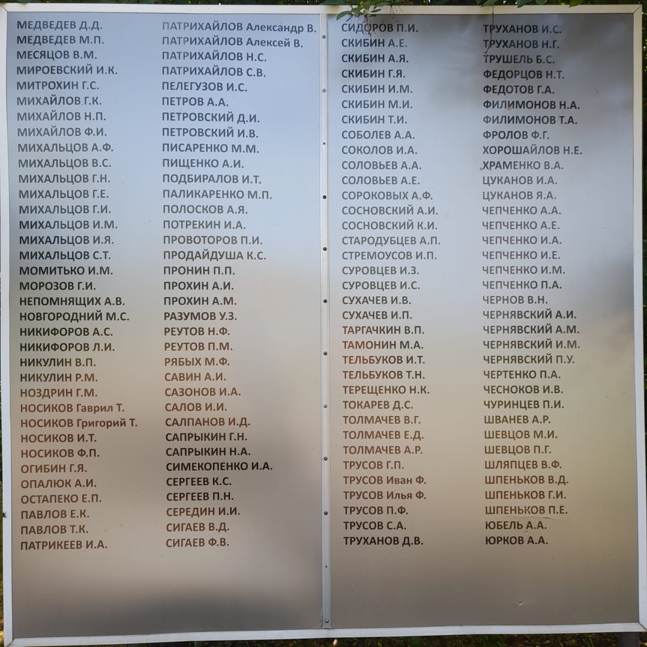 фото Вихман Л.В., библиотекарь Новопокровской б/ф, 19.06.2025