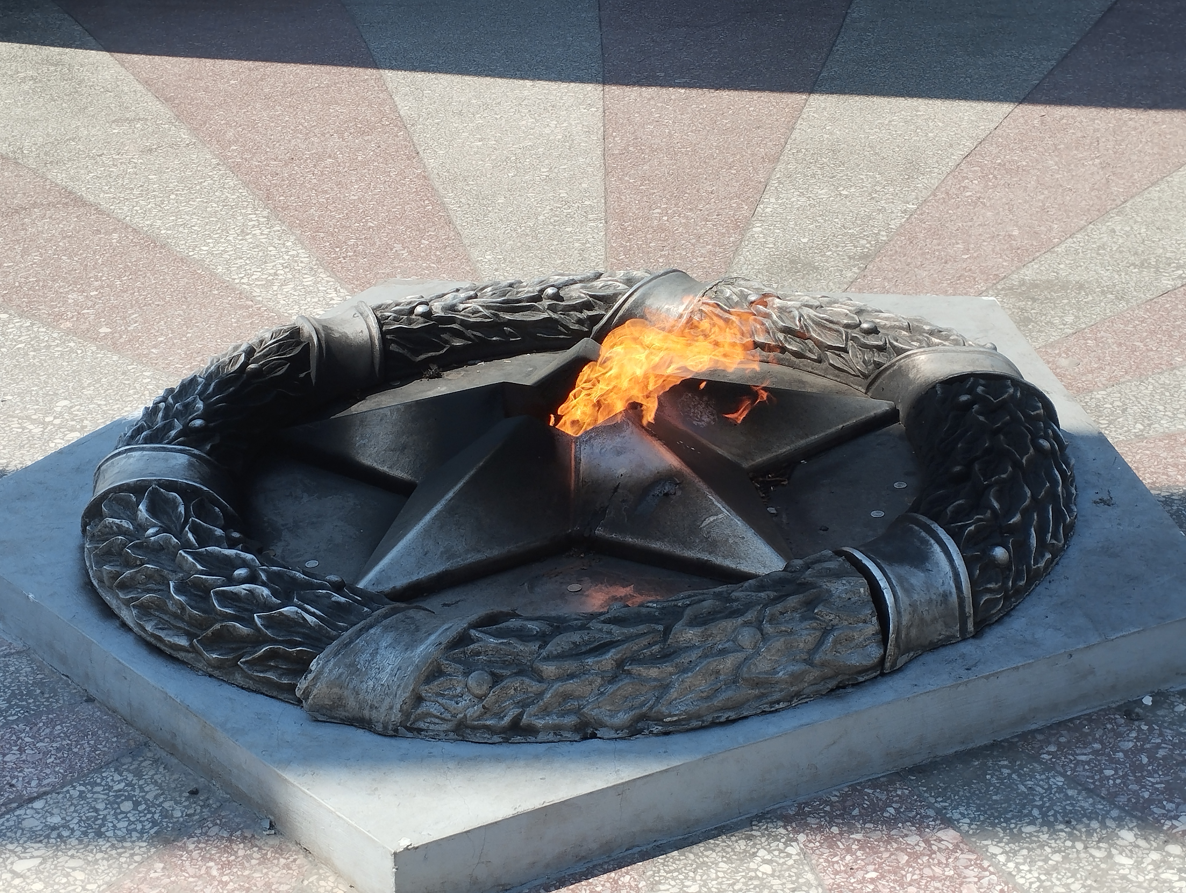 0 Фото Веры Григорюк, июнь 2025 г.