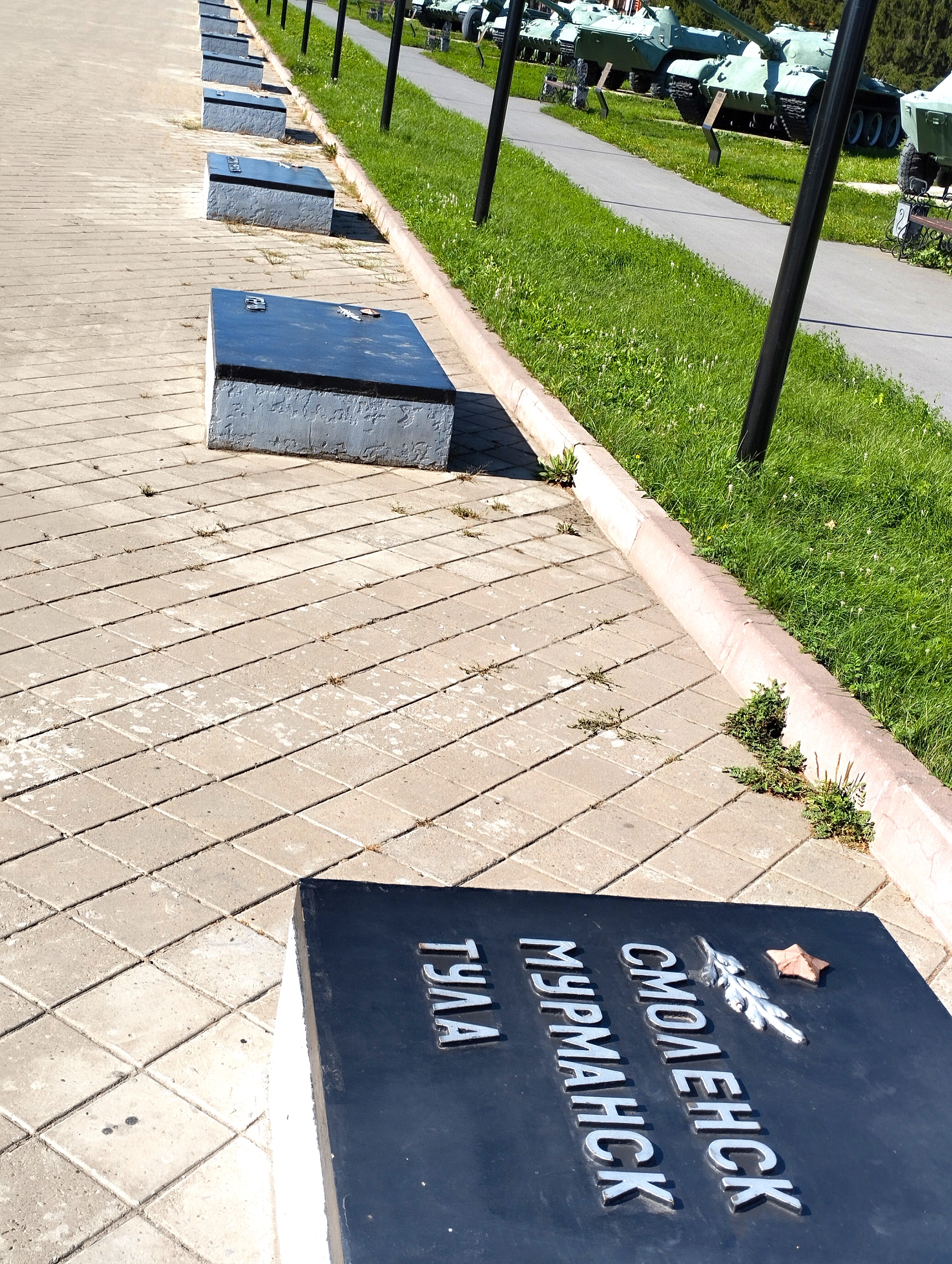 0 Фото Веры Григорюк, июнь 2025 г.