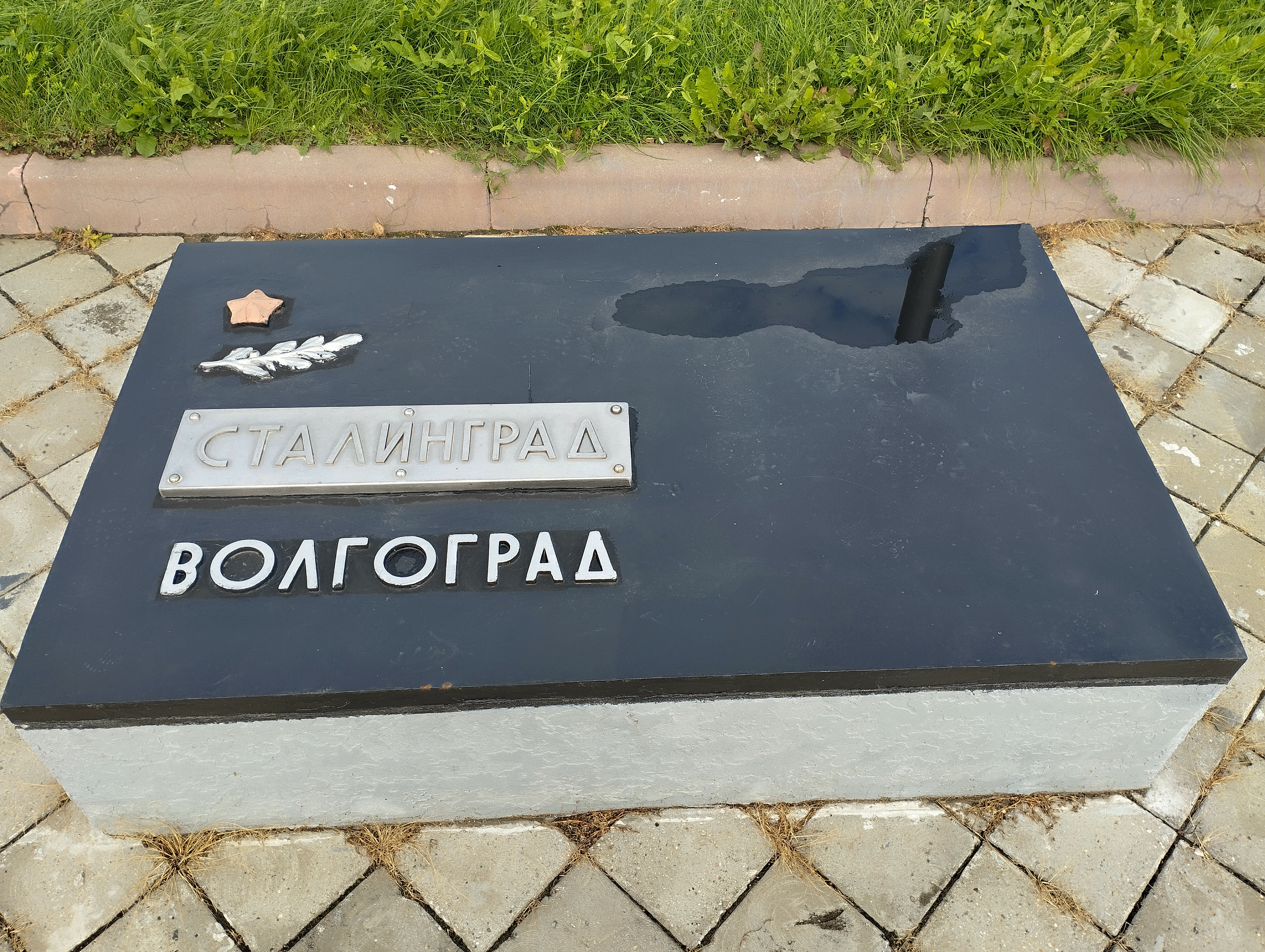 0 Фото Веры Григорюк, июнь 2025 г.