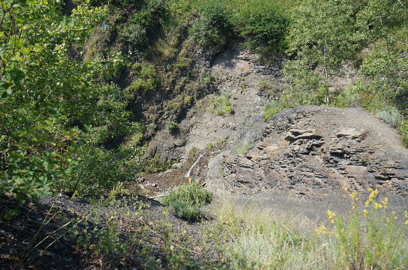 Фото Храмцовой А. В. 2013 г.