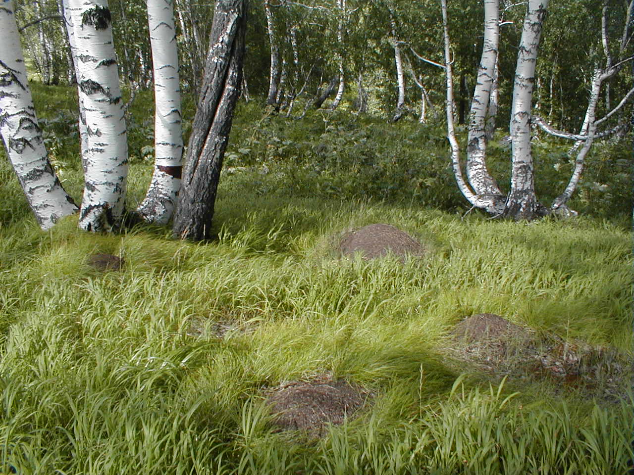 фото Андреевой Оксаны Сергеевны 2007 г.