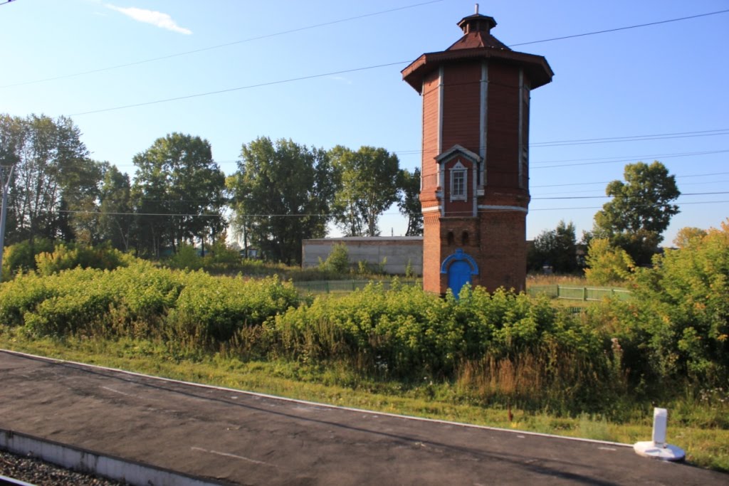 Фото зав.сельской библиотекой Е.А.  Лкус, 18.07.2008.